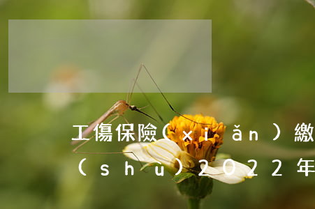工傷保險(xiǎn)繳費(fèi)基數(shù)(2022年工傷保險(xiǎn)繳費(fèi)基數(shù))