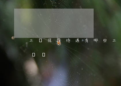 工傷保險待遇有哪些,工傷可不可以要求精神賠償
