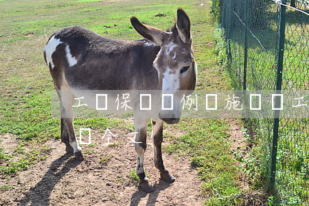 工傷保險條例實施細則,工傷保險條例實施細則全文 工傷保險條例實施細則,工傷保險條例實施細則全文