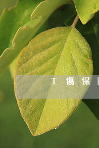 工傷保險死亡賠償(工傷保險死亡賠償)