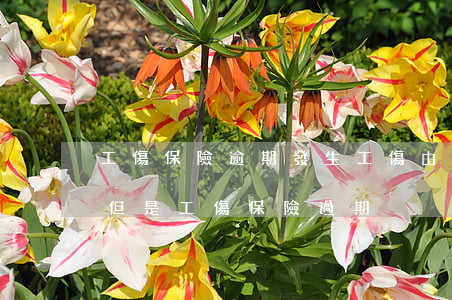 工傷保險逾期發生工傷由誰賠償-受了工傷但是工傷保險過期