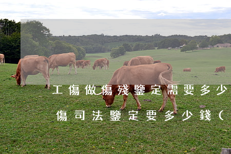 工傷做傷殘鑒定需要多少錢(qián)(工傷司法鑒定要多少錢(qián)?)