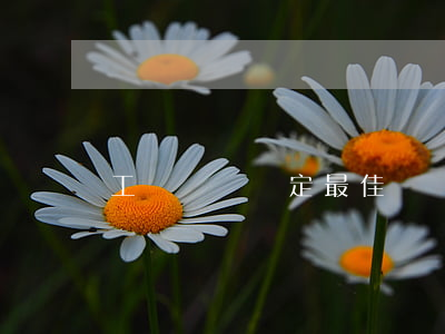 工傷傷殘鑒定最佳時間