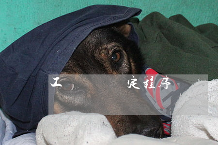 工傷傷殘鑒定程序