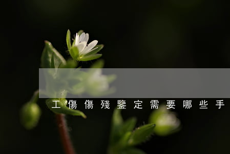 工傷傷殘鑒定需要哪些手續(xù)