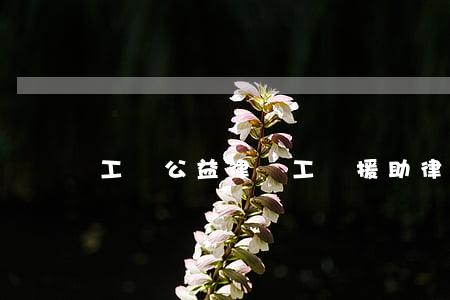 工傷公益律師(工傷援助律師在線咨詢)