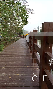 工傷判定直接起訴法院可以嗎(工傷不認(rèn)定可以直接去法院起訴嗎)