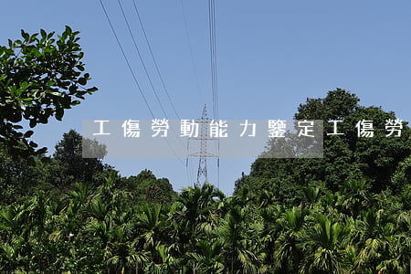 工傷勞動能力鑒定(工傷勞動能力鑒定)