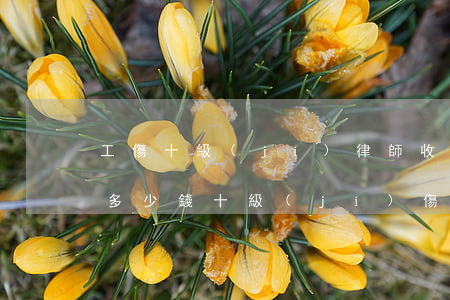 工傷十級(jí)律師收費(fèi)大約多少錢(十級(jí)傷殘律師收費(fèi)標(biāo)準(zhǔn))