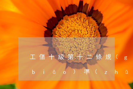 工傷十級第十二條規(guī)定賠償標(biāo)準(zhǔn)是多少(工傷達到十級傷殘賠償標(biāo)準(zhǔn))