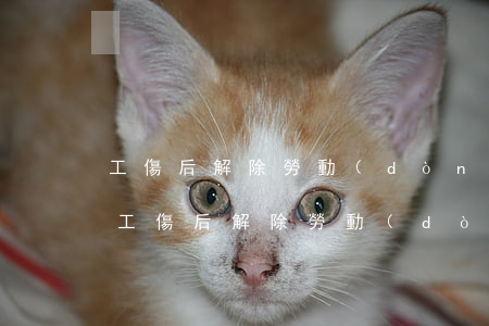 工傷后解除勞動(dòng)合同如何賠償，工傷后解除勞動(dòng)合同如何賠償協(xié)義