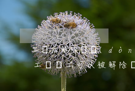 工傷后解除勞動(dòng)合同如何賠償(工傷職工可以被解除勞動(dòng)合同嗎)