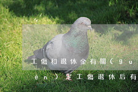 工傷和退休金有關(guān)系嗎(認(rèn)定工傷退休后有什么待遇)