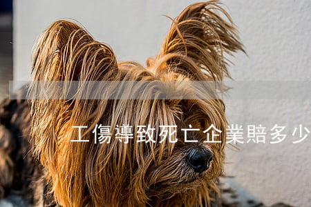 工傷導致死亡企業賠多少錢