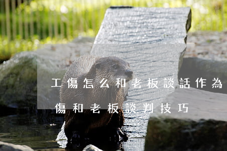 工傷怎么和老板談話作為證據(jù)。(工傷和老板談判技巧)