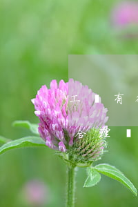 工傷有得到懲罰性賠償嗎(工傷后被單位處罰合理嗎)
