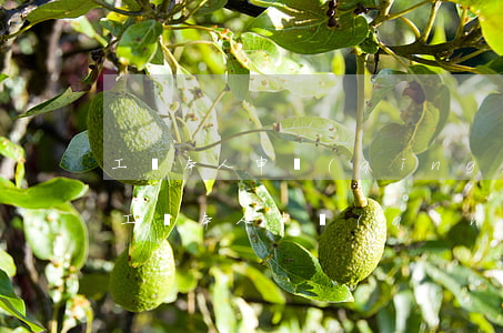 工傷本人申請(qǐng)法律援助可以嗎(工傷本人申請(qǐng)法律援助可以嗎)