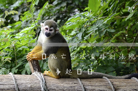 工傷死亡可以直接到法院起訴嗎(工傷受傷可以民事起訴嗎)