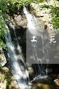 工傷死亡查詢(工傷明細(xì)查詢)
