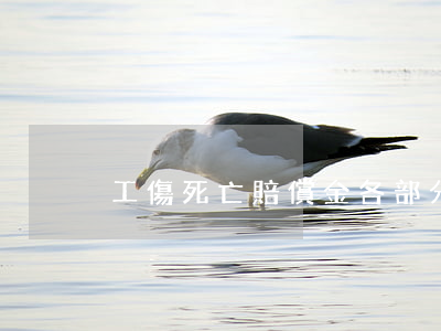 工傷死亡賠償金各部分的性質(zhì)