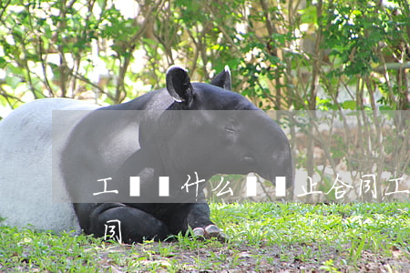 工傷為什么會終止合同(工傷后單位要終止合同)