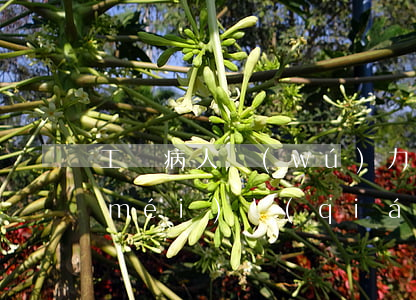工傷病人無(wú)力償還怎么辦(工傷沒(méi)錢(qián)治療,公司不給拿錢(qián)怎么辦?)