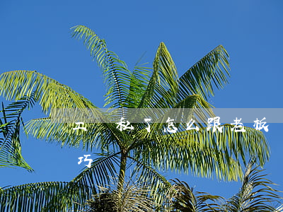 工傷私了怎么跟老板談(工傷跟老板談賠償技巧)