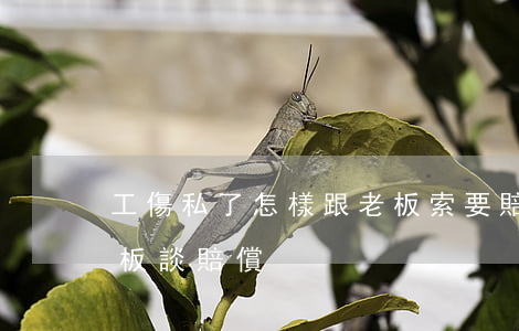 工傷私了怎樣跟老板索要賠款(工傷怎么跟老板談賠償)