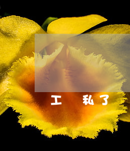 工傷私了賠償過低員工可反悔