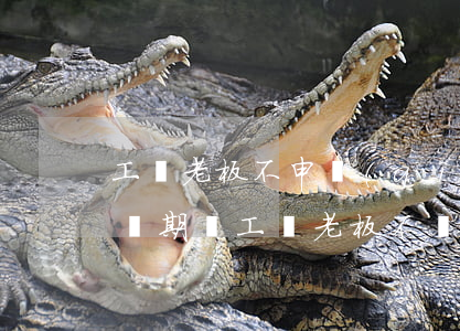 工傷老板不申請(qǐng)工傷怎么辦(工傷期間工資老板不給怎么辦)