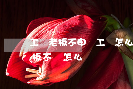 工傷老板不申請工傷怎么辦(工傷期間工資老板不給怎么辦)
