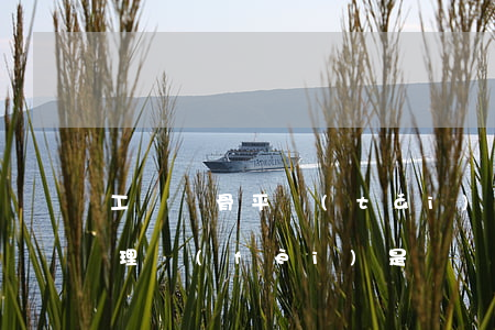 工傷脛骨平臺(tái)骨折的護(hù)理費(fèi)是幾個(gè)月啊?(脛骨骨折治療費(fèi)用)