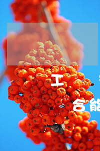工傷與交通事故可以雙賠嗎(工傷和交通事故競合能否獲得雙賠?)