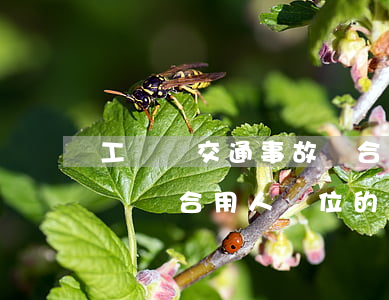 工傷與交通事故競合怎么賠償(交通事故與工傷競合用人單位的賠償問題)