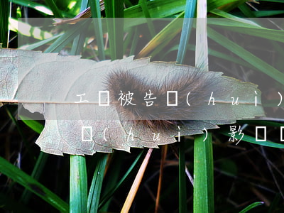 工傷被告會(huì)影響貸款嗎(工傷被告會(huì)影響貸款嗎)