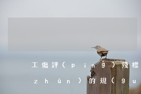 工傷評(píng)殘標(biāo)準(zhǔn)的規(guī)定