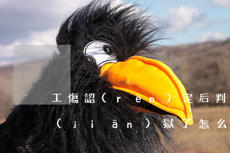 工傷認(rèn)定后判刑進(jìn)監(jiān)獄了怎么辦(工傷認(rèn)定后判刑進(jìn)監(jiān)獄了怎么辦)