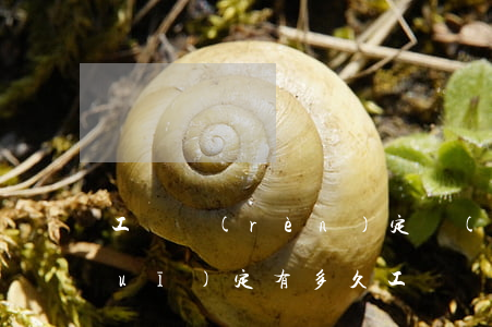 工傷認(rèn)定時(shí)間規(guī)定有多久（工傷傷殘等級(jí)的劃分與賠償標(biāo)準(zhǔn)）