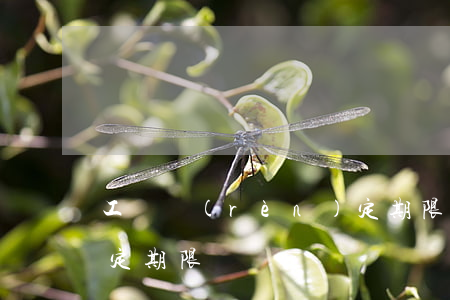 工傷認(rèn)定期限(工傷認(rèn)定期限)