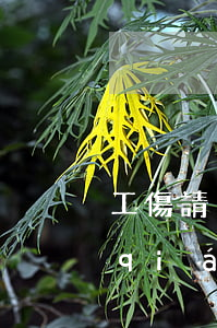 工傷請(qǐng)律師大概需要多少錢(qián)(勞動(dòng)工傷請(qǐng)律師費(fèi)要多少錢(qián))
