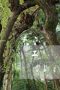 工傷請(qǐng)律師收費(fèi)標(biāo)準(zhǔn)是多少(申請(qǐng)工傷認(rèn)定請(qǐng)律師需要多少費(fèi)用)