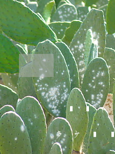 工傷請(qǐng)律師的費(fèi)用多少錢(勞動(dòng)工傷請(qǐng)律師費(fèi)要多少錢)