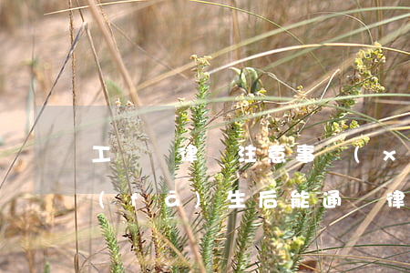 工傷請律師注意事項(xiàng)(工傷發(fā)生后能通過律師來處理嗎)
