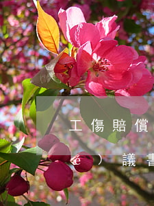工傷賠償協(xié)議(工傷賠償協(xié)議書模板)