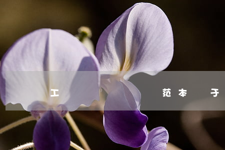 工傷賠償協議書范本(關于工傷賠償協議書)