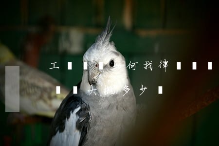 工傷賠償如何找律師(請個律師處理工傷賠償問題大概多少錢)