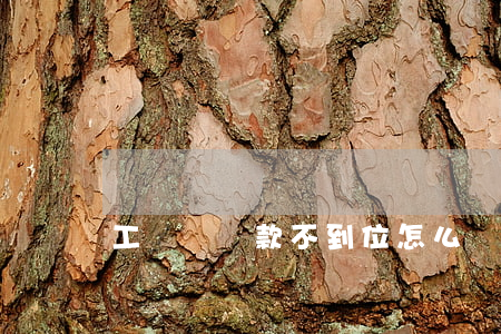 工傷賠償款不到位怎么辦（工傷賠償款無力償還）