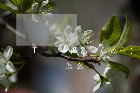 工傷賠償被告無(wú)力償還(工傷被起訴沒錢還怎么辦)
