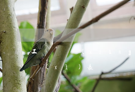 工傷賠償項(xiàng)目表(工傷賠償明細(xì)表)