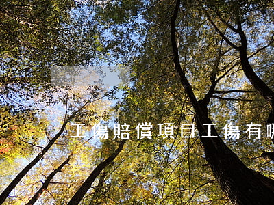 工傷賠償項目(工傷有哪些賠償和待遇)